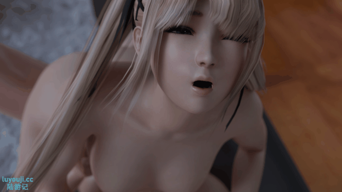 【3D同人/全动态】Spizde大师:玛丽罗斯 SOX大长篇 2K步兵完整版【新作/全CV/1G】
