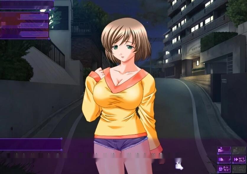 [电脑] 【PC/2D/ADV/汉化】怀运人妻1+2 AI汉化版【6.5G】