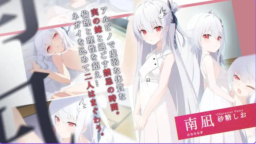 【PC/精翻/日式/ADV游戏/1.30G】 只愿 (カタネガイ)精翻I汉化版+全CG存档+日式ADV游戏+1.30G