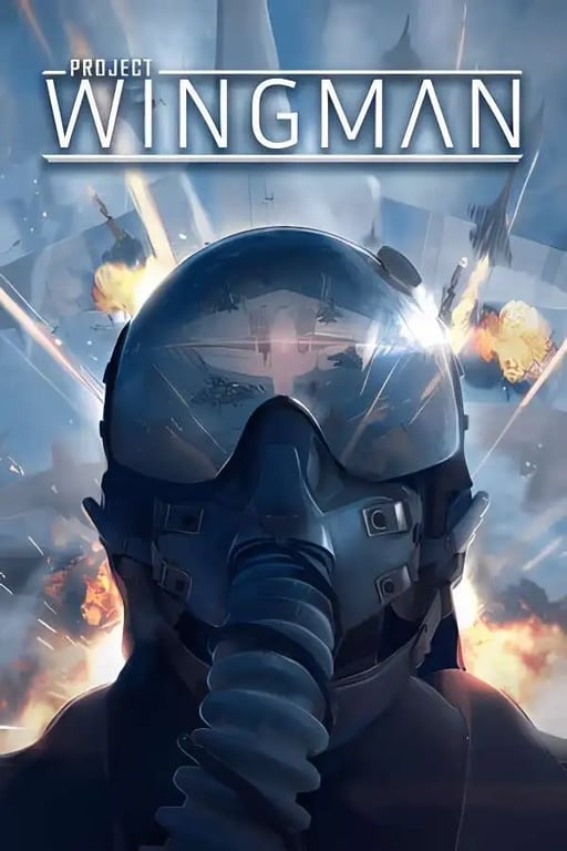 僚机计划/Project Wingman（已更新至V2.1.0.A.24.1202.9377+集成前线59战役等全DLCs+支持VR+游戏修改器）-中文绅士游戏下载,黄游,色情啊手机游戏,绅士漫画,里番