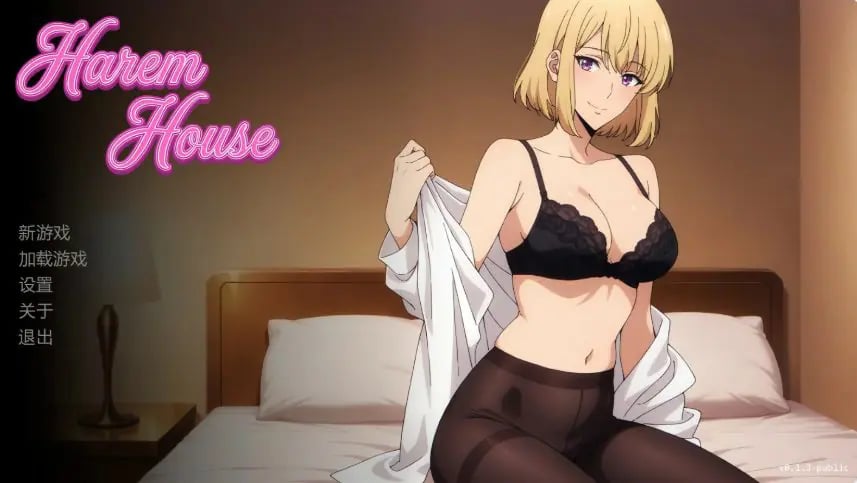 【PC/安卓/AI汉化/日系/SLG游戏/1.33G】后宫之家（Harem House）Ver0.1.6 Public AI汉化版+PC+安卓+日系SLG游戏+1.33G-中文绅士游戏下载,黄游,色情手机啊游戏,绅士漫画,里番