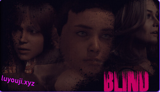 【PC/安卓/AI汉化/欧美/SLG游戏/1.81G】暗夜之眸/盲视 (Blind) Ver1.1 AI汉化版+PC+安卓+欧美SLG游戏+1.81G