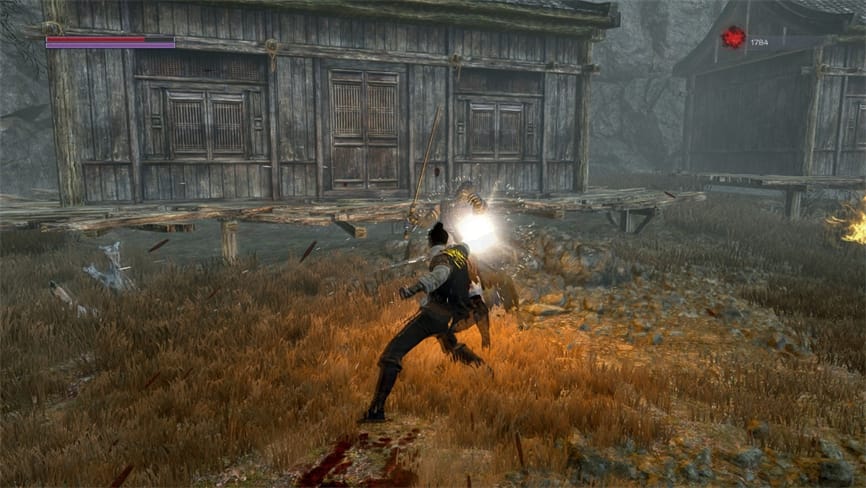 嗜血印/Bloody Spell(已更新至V240821豪华正式版-重大更新+集成魅影战歌-魅魔+渔网+剑仙等全DLCs+Build.15305955升级档+游戏修改器)