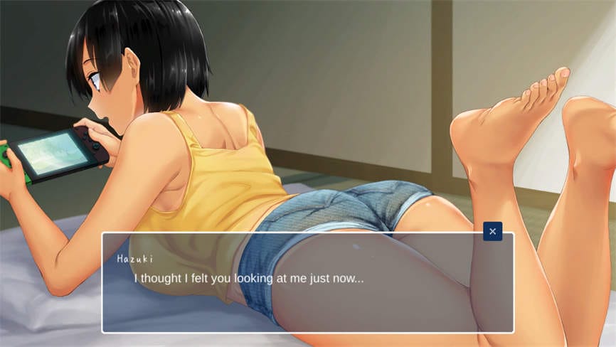夏天:乡村生活愉快的暑假/Summer:Life in the Countryside(V2.02+户外郊游=DLC+攻略+全解锁存档)