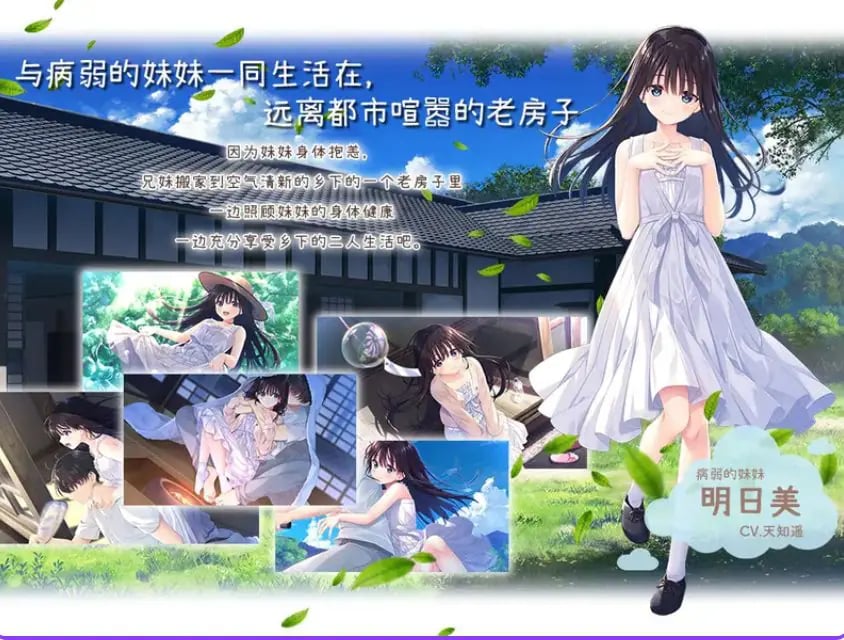 【PC/官中/爆款/RPG游戏/5.30G】 痴情哥哥与病弱妹妹的乡间生活 官中版+【DLC1-5】+存档+爆款RPG游戏+5.30G