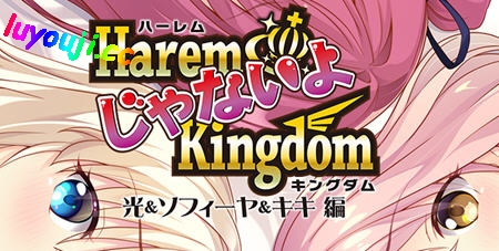 后宫王国(HaremKingdomFD) AI精翻汉化版 ADV游戏&SMEE 2.1G
